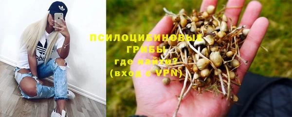 PSILOCYBIN Верхний Тагил